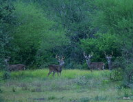 15-IMG_5313-20.jpg