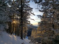 20220121_170604_001.jpg