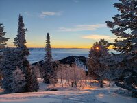 20220122_074925.jpg