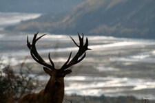 3-IMG_3382.JPG