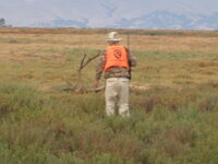 IMG_5557.JPG