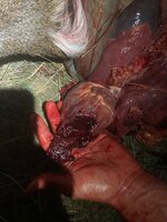 IMG_6800.jpeg