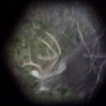 Oct'11buck 066.JPG