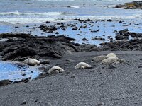 IMG_5377.1.jpg