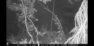 Screenshot_20200910-165058_Gallery.jpg Screenshot_20200910-165058_Gallery.jpg