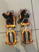 IMG_7359.JPG