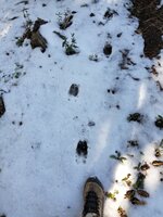 20200911_101818.jpg 20200911_101818.jpg