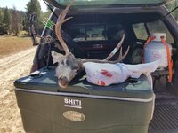 20200912_141951.jpg 20200912_141951.jpg