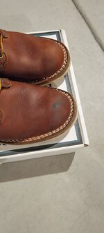 20220201_151027.jpg 20220201_151027.jpg