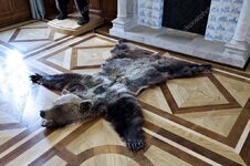 bearrug.jpg
