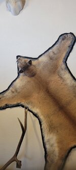 20220203_090415.jpg
