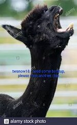 images.jpeg