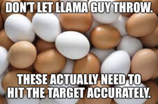 35B702C7-14C4-48FB-9DAC-3F4425BA5DE6.jpeg