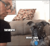 miniGif_20220203220514.gif