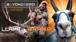 BTG_HuntingHighCountrYDeer_WY_Deer_ScottR_R_Thumbnail_ForBlog.jpg