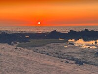 IMG_5446.1.jpg