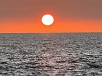 IMG_5450.jpg