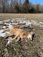 coyote2022.jpg