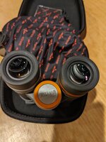 PXL_20220205_032220957.jpg
