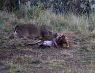 10-IMG_364212.JPG