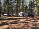 IMG_1682.jpg
