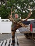 2017 elk 2.jpg