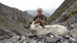 Sheep2017.4.jpg