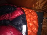 IMG_1913.jpg