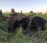 MOOSE1.jpg