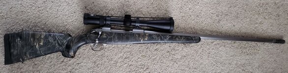 SV375small01.jpg