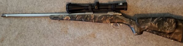 SV375small03.jpg