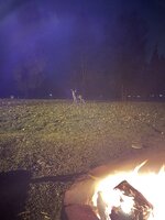 58D7C076-B039-402A-819A-6D50803F9848.jpeg