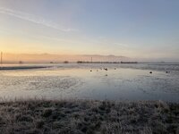 3DBF3FD0-DB14-4D48-AE7E-AD2A036DB974.jpeg 3DBF3FD0-DB14-4D48-AE7E-AD2A036DB974.jpeg