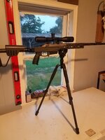 Tikka.jpg