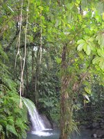 DSC_0332.2.jpg