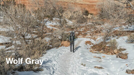 Wolf Field 3.jpg Wolf Field 3.jpg