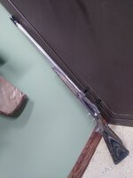 IMG_20220205_124401678.jpg IMG_20220205_124401678.jpg