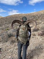 aoudad1.jpg