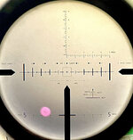 733BBD9F-9A09-4AF8-AFA8-00F6FDC5BBBA.jpeg