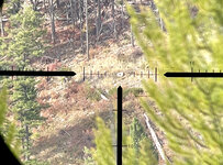 C2EAB3F7-8527-41AA-BC11-F649A2323EFF.jpeg