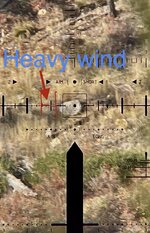 E1414711-86AC-4199-87F8-EDB673F8495B.jpeg