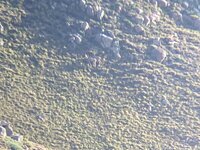 C77BC0AC-1BB2-4A5B-BBEE-A05A83D55041.jpeg