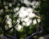 IMG_20210825_201008.jpg