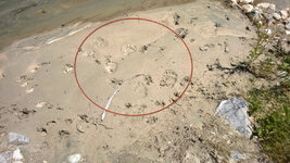 WP_20150725_007 - Copy.jpg