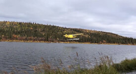 806D68AE-3C85-4964-9B44-E6C4629A160F.jpeg 806D68AE-3C85-4964-9B44-E6C4629A160F.jpeg