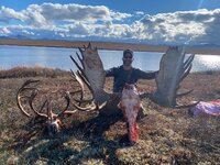 moose 2.jpg