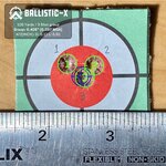 Ballistic-X-Export-2022-01-05 15:01:05.999932.jpg