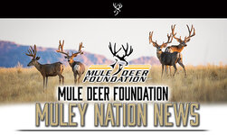 45BBCDAC-5ED0-4695-8EED-DFD7D8A3C286.jpeg 45BBCDAC-5ED0-4695-8EED-DFD7D8A3C286.jpeg