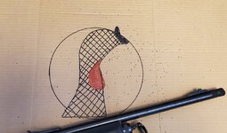 20220227_110224.jpg