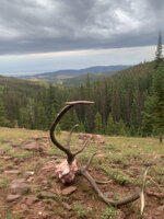 Elk Mountains.jpg